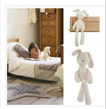 Load image into Gallery viewer, Soft Plush Baby Rabbit