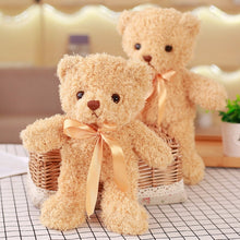 Load image into Gallery viewer, Cute Teddy Bear