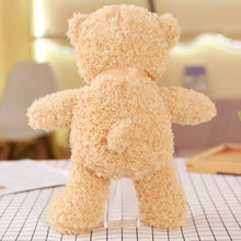 Load image into Gallery viewer, Cute Teddy Bear
