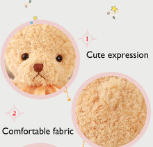 Load image into Gallery viewer, Cute Teddy Bear