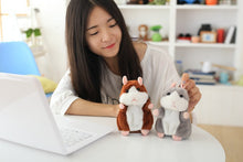 Load image into Gallery viewer, Talking Hamster