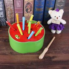Load image into Gallery viewer, Magnetic Catch Worm Game Toy